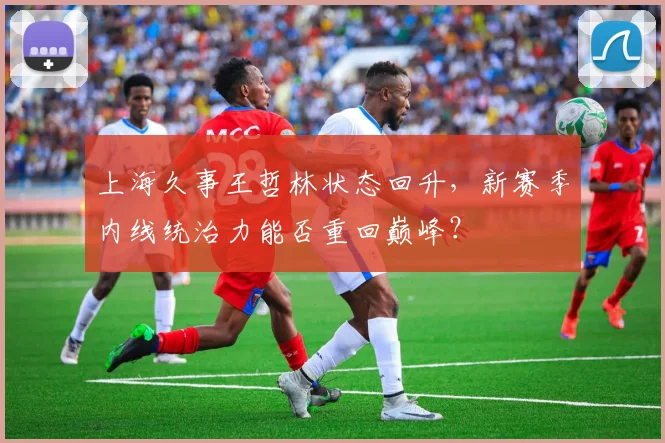 上海久事王哲林状态回升，新赛季内线统治力能否重回巅峰？